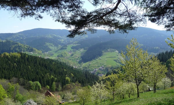 Häfner´s Flair Hotel Adlerbad