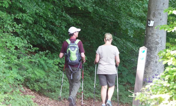 Flair Hotel Stadt Höxter