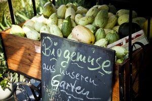 FH Reuner Zossen Biogemüse