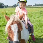 Flair Hotel Hubertus - Ponyliebe