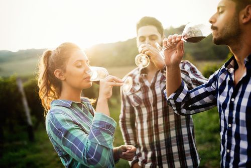 Menschen im Weinberg