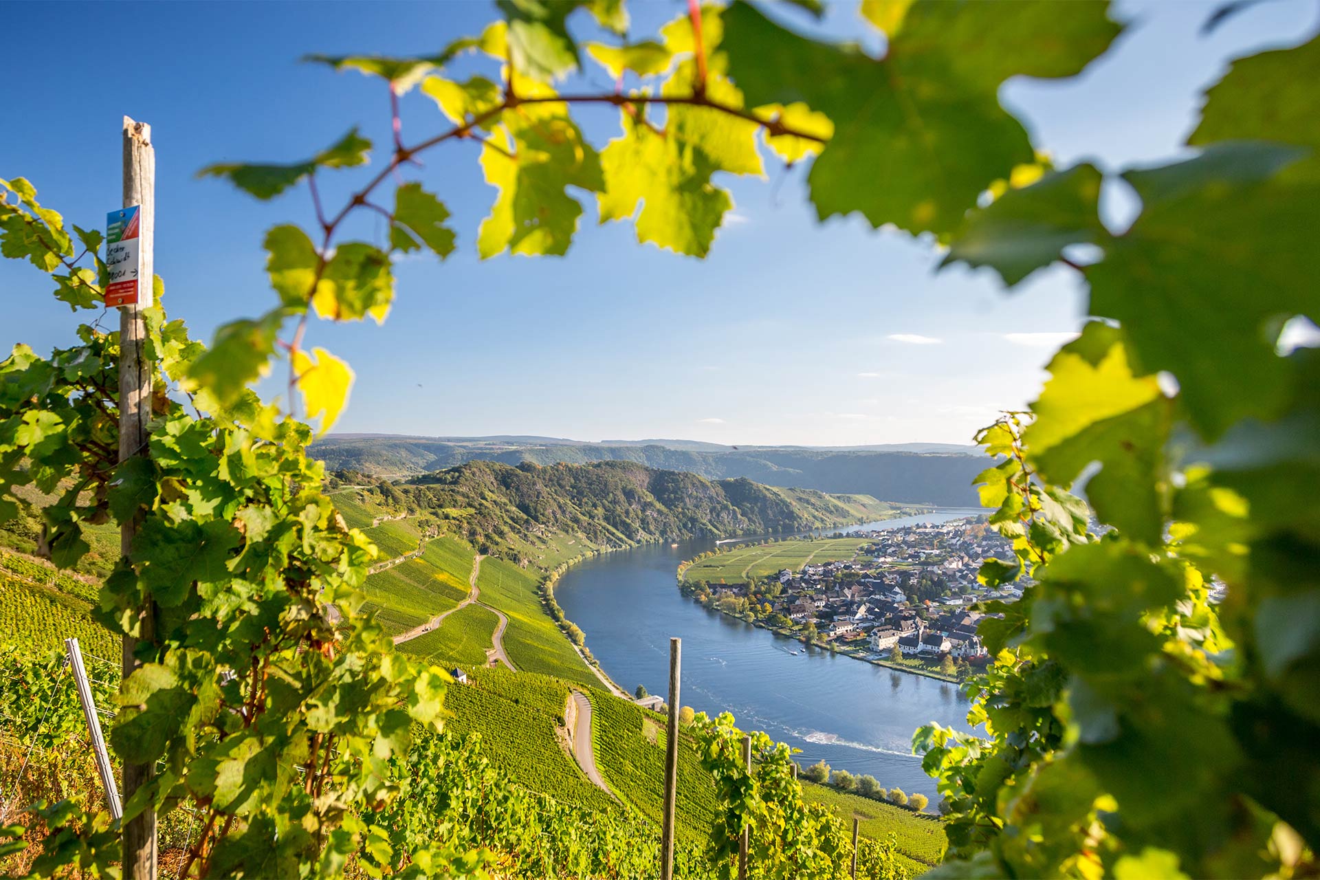 Regionen Mosel