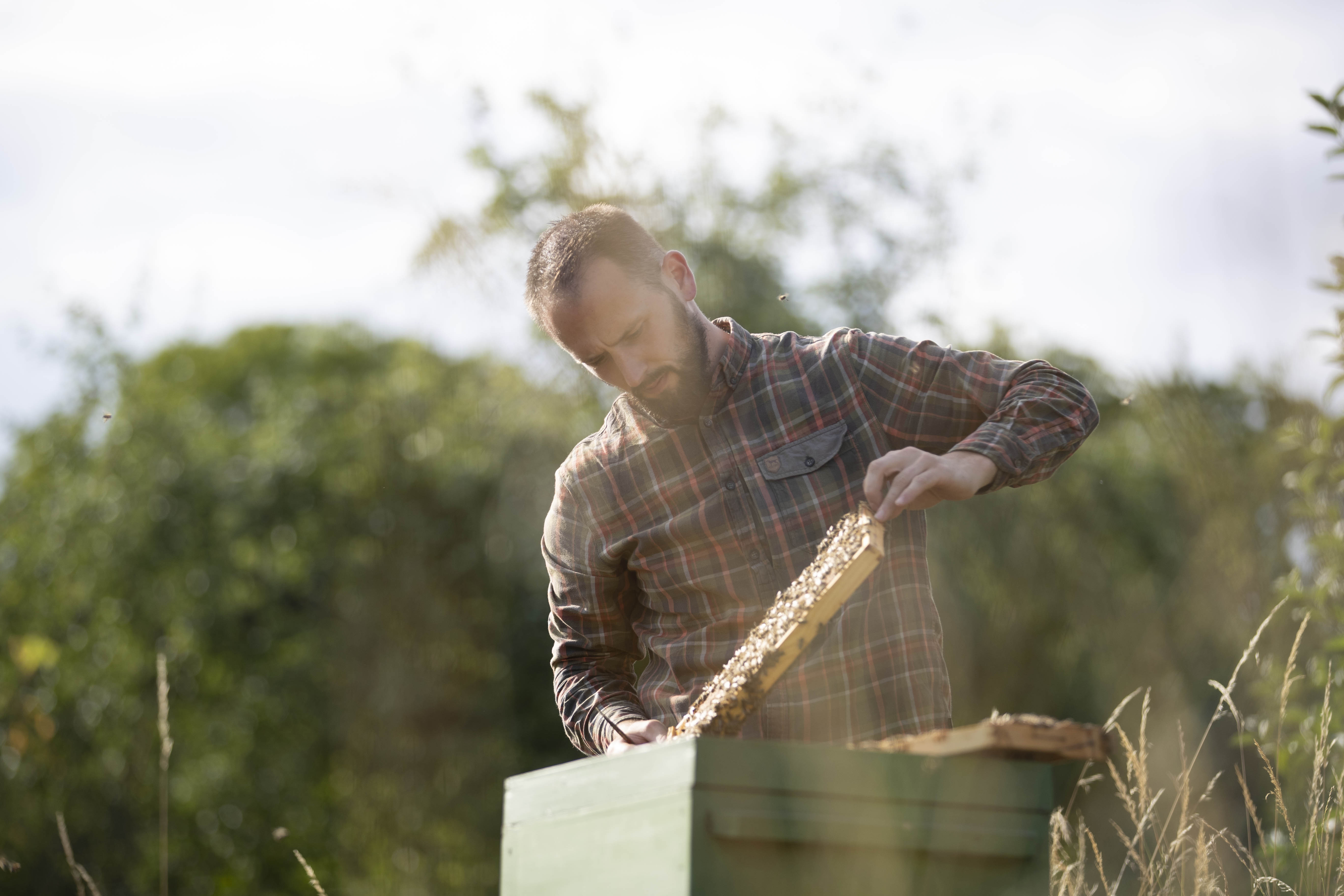 Bienenstock