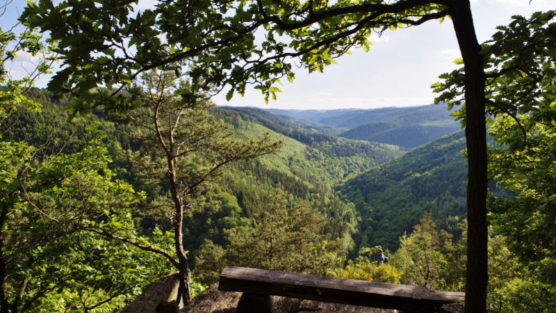 Blick in das Schwarzatal nahe Griesbachfelsen und Ingoklippe, Thüringen; 2017-05-25, © Dörthe Hagenguth/Zukunftswerkstatt Schwarzatal e. V.