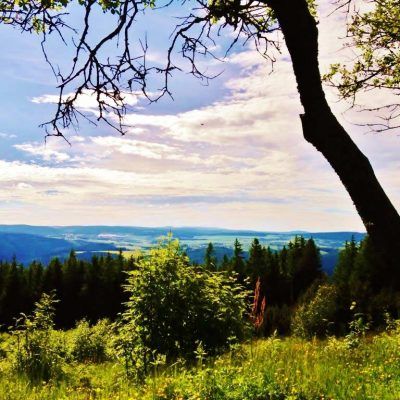 Flair Hotel Waldfrieden Blick von der Meuselbacher Kuppe