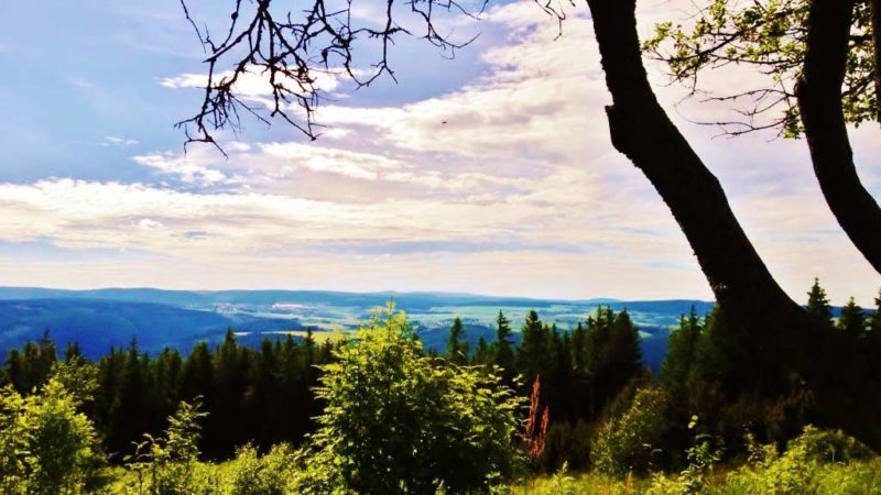 Flair Hotel Waldfrieden Blick von der Meuselbacher Kuppe