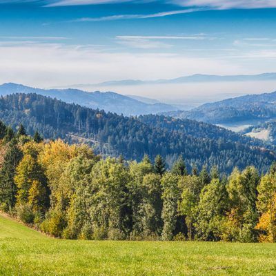 Berge - Wälder