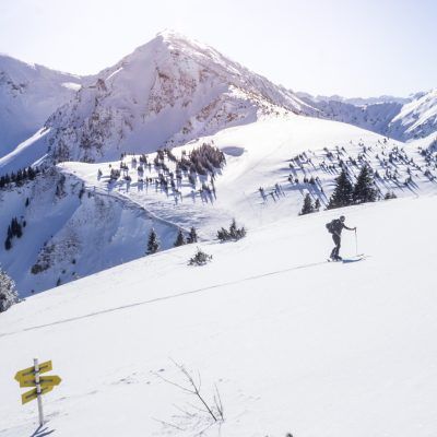 Skitourengeher in den Alpen