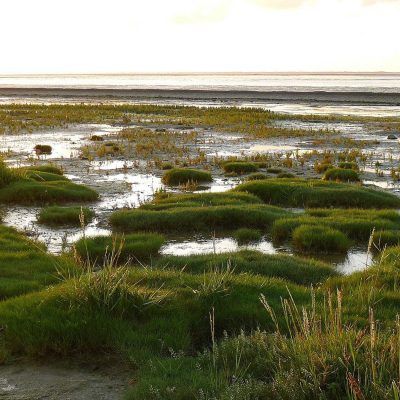 Nordsee Wattenmeer