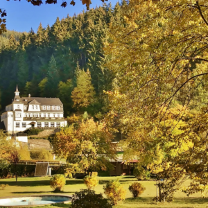 Flair Hotel Waldfrieden, Schwarzatal, außenansicht