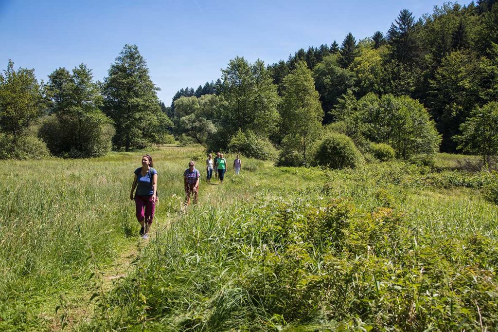 Wanderer wandern durch den Spessart