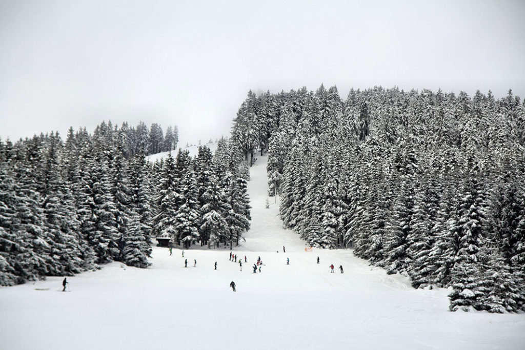 Abfahrtski in Braunlage im Harz