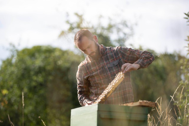 Alexander-Erck-vom-Flair-Hotel-Erck-mit-seinen-Bienen