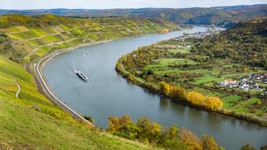 Der Bopparder Hamm ist eine bekannte Weinlage am Mittelrhein