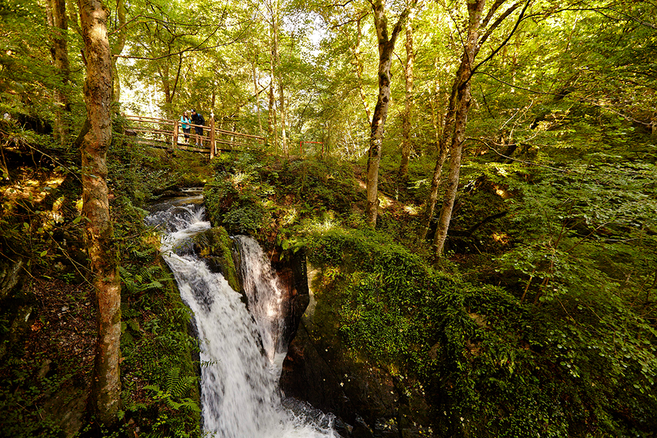 Der Wasserfall Rausch im Tal der wilden Endert