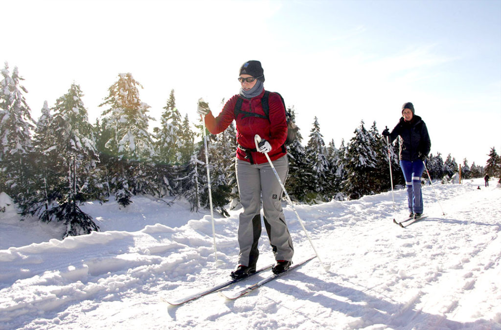 Langlauf im Harz