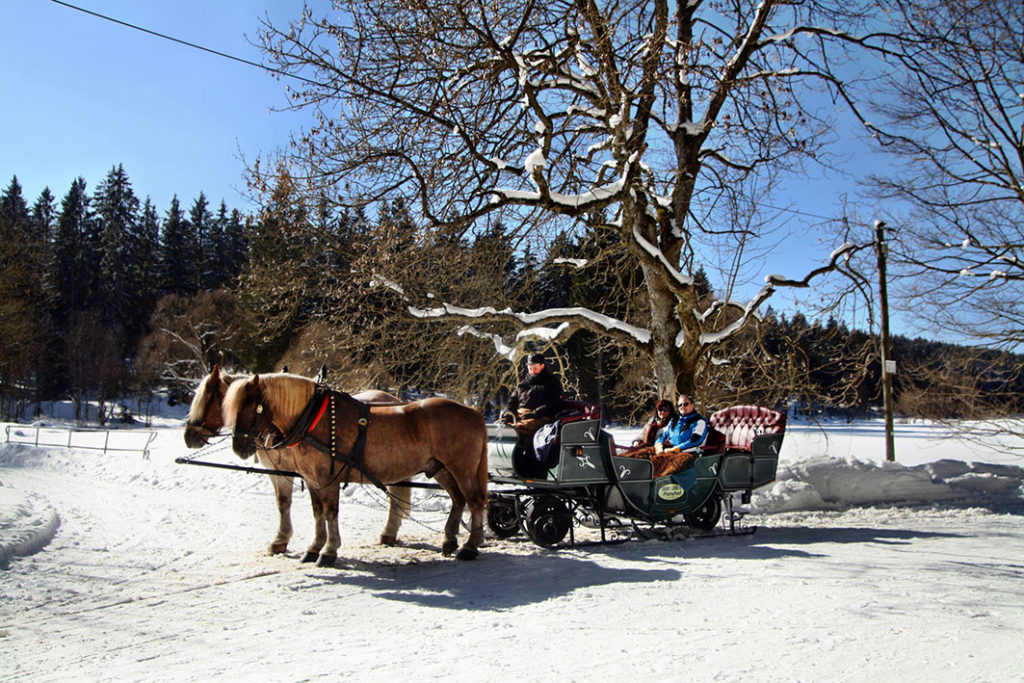 Pferdeschlittenfahrt in Braunlage im Harz