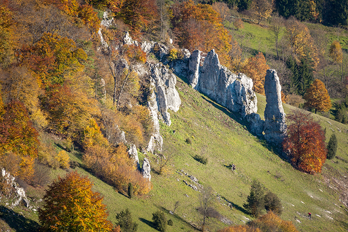 Wacholderheide am Schachenberg bei Bichishausen