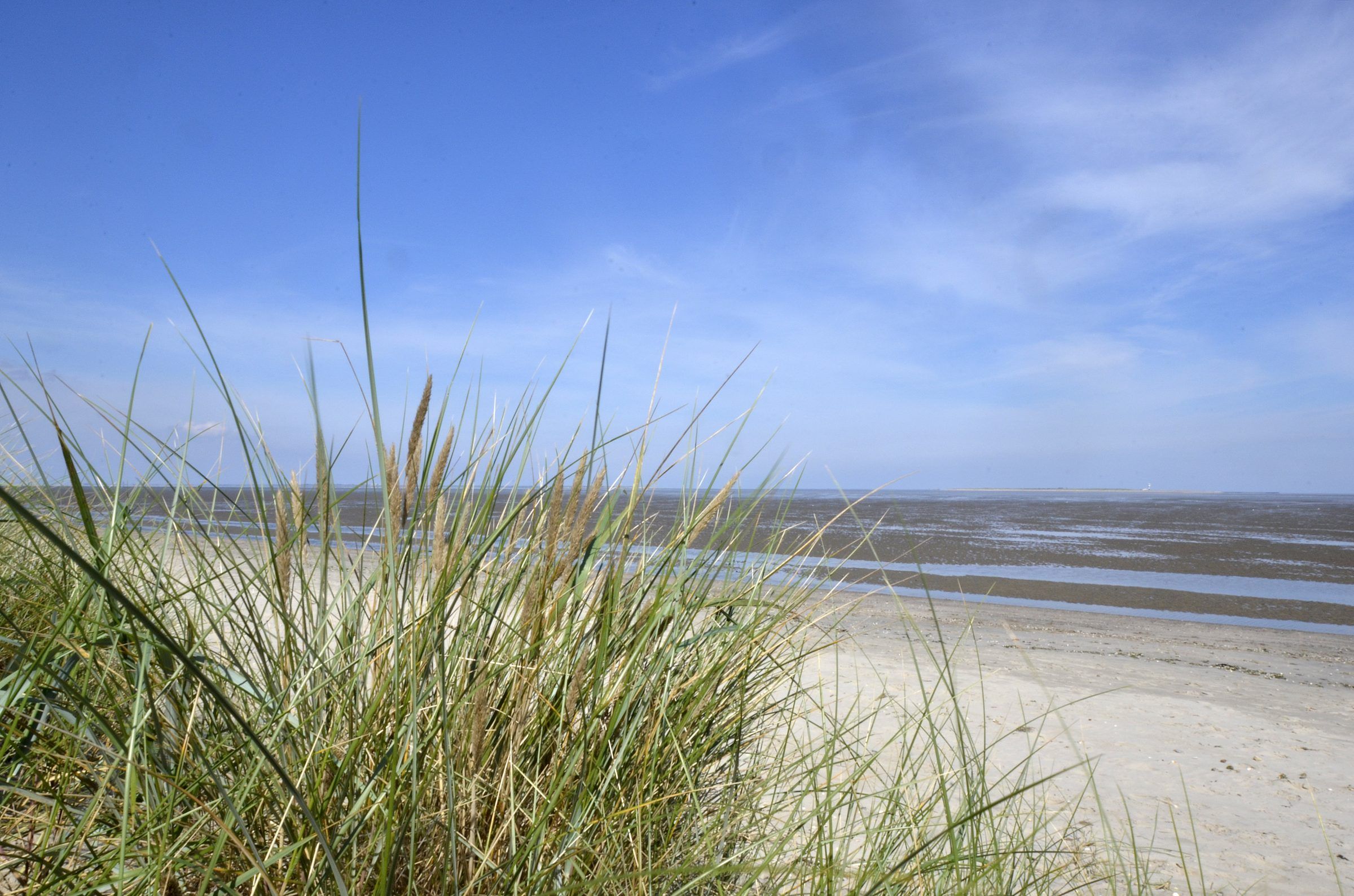 Nordsee