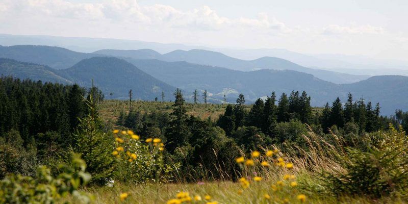 Am Schliffkopf in Baiersbronnn bekommt man einen herrlichen Blick über die Schwarzwaldtäler.