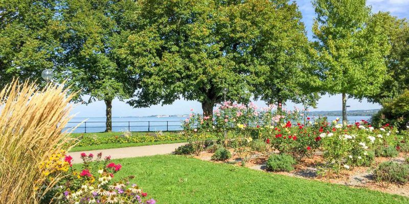 Stadt- und Hafengarten in Bregenz am Bodensee.