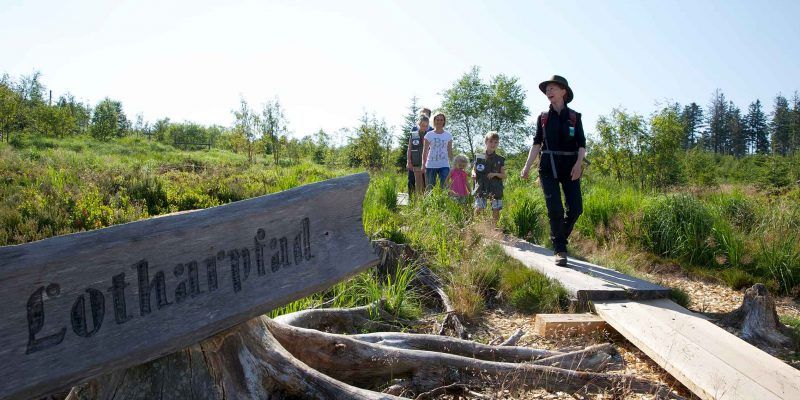 Der Seensteig führt auch zum Naturlehrpfad Lotharpfad in Baiersbronn.