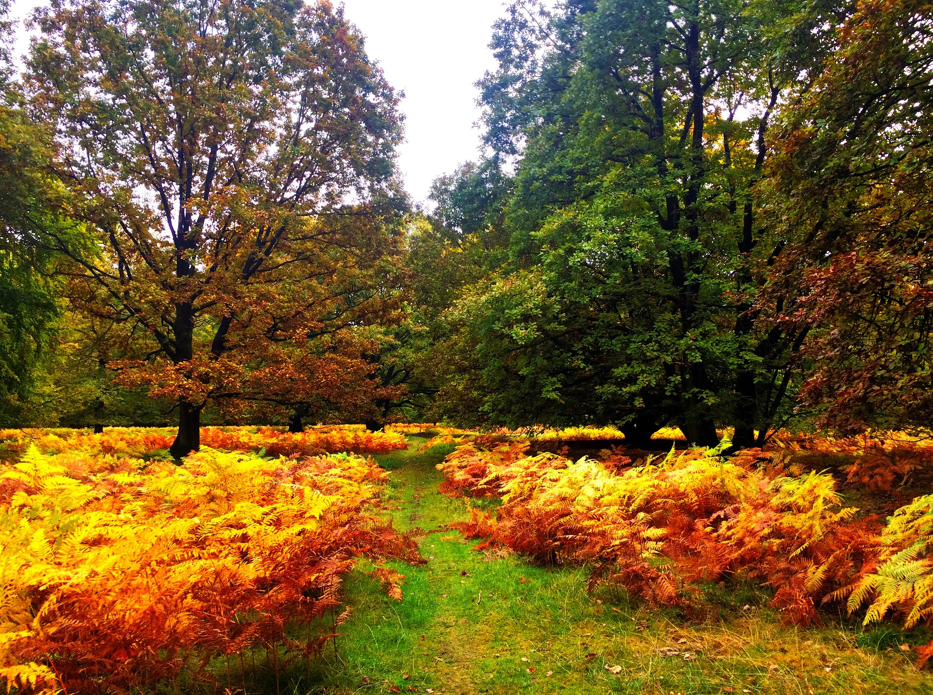 Lüneburger Weide im Herbst