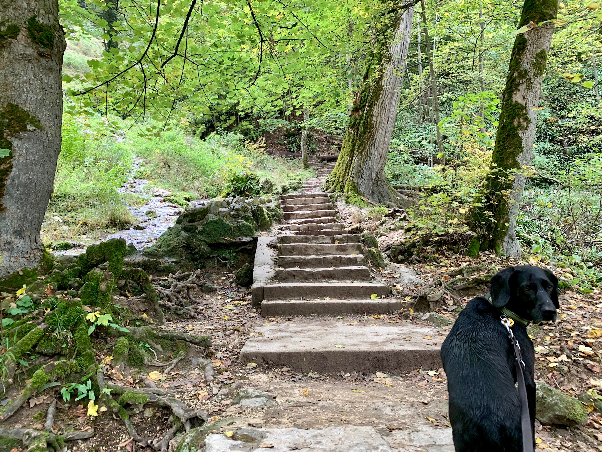 Toni vor Treppen