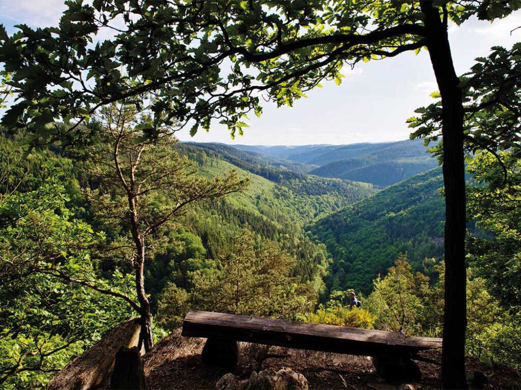 Ausblick von einem Wander Rastplatz in der Höhe hinunter ins Schwarzatal