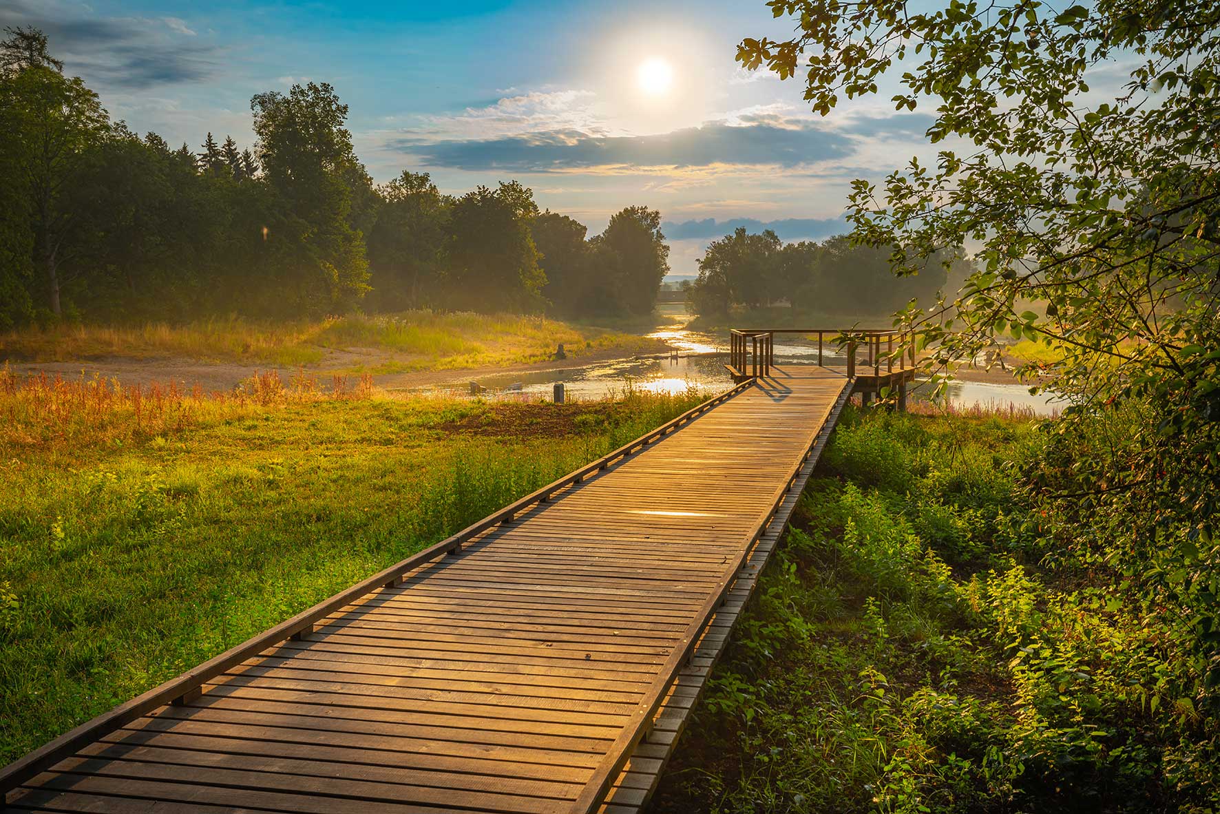 Foto von einem Holzsteg am renaturierten Donauurprung in Donaueschingen