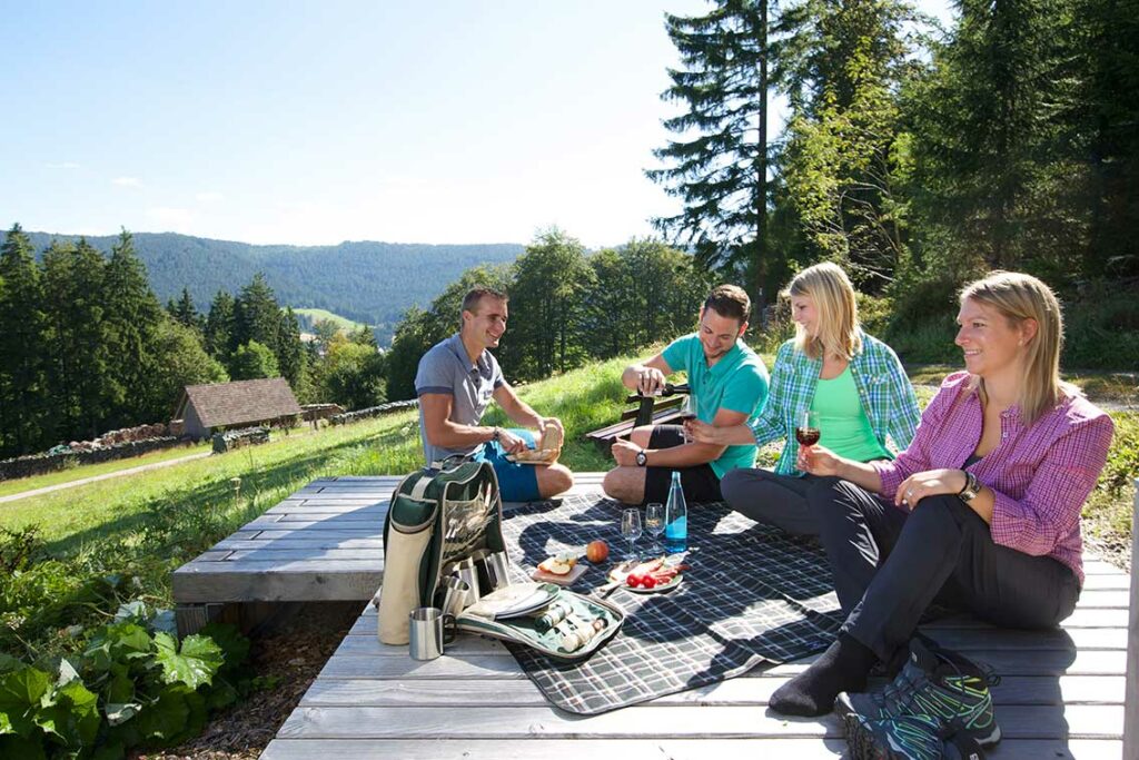 Vier Wanderer machen Rast am Premiumwanderweg Genießerpfad Panoramasteig