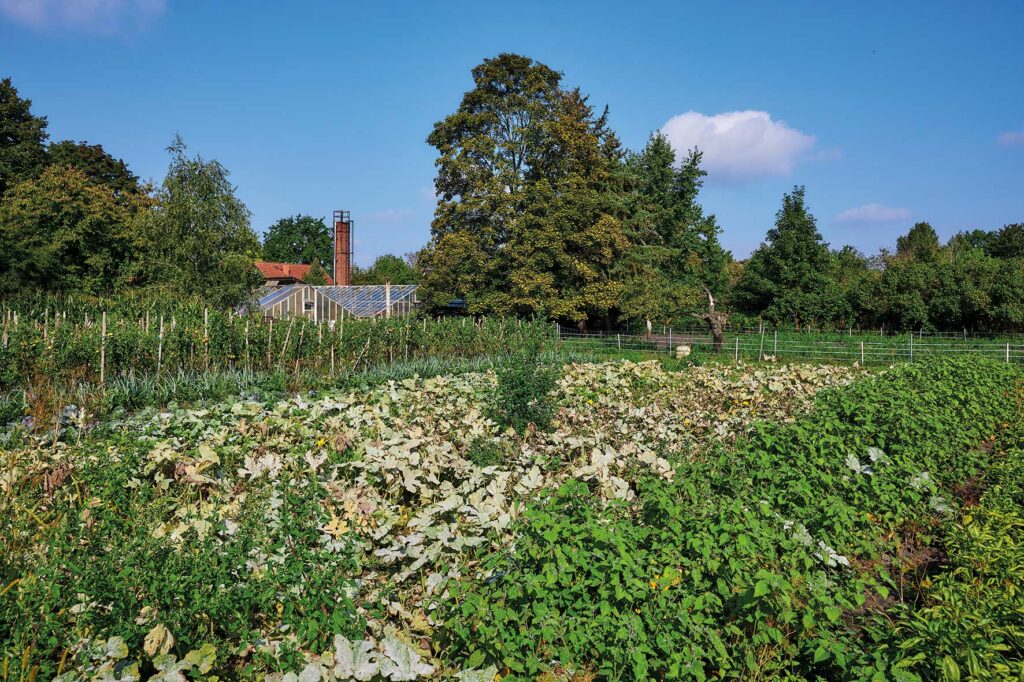 Panoramafoto vom Hotel Garten des Flair Hotels Reuner in Brandenburg