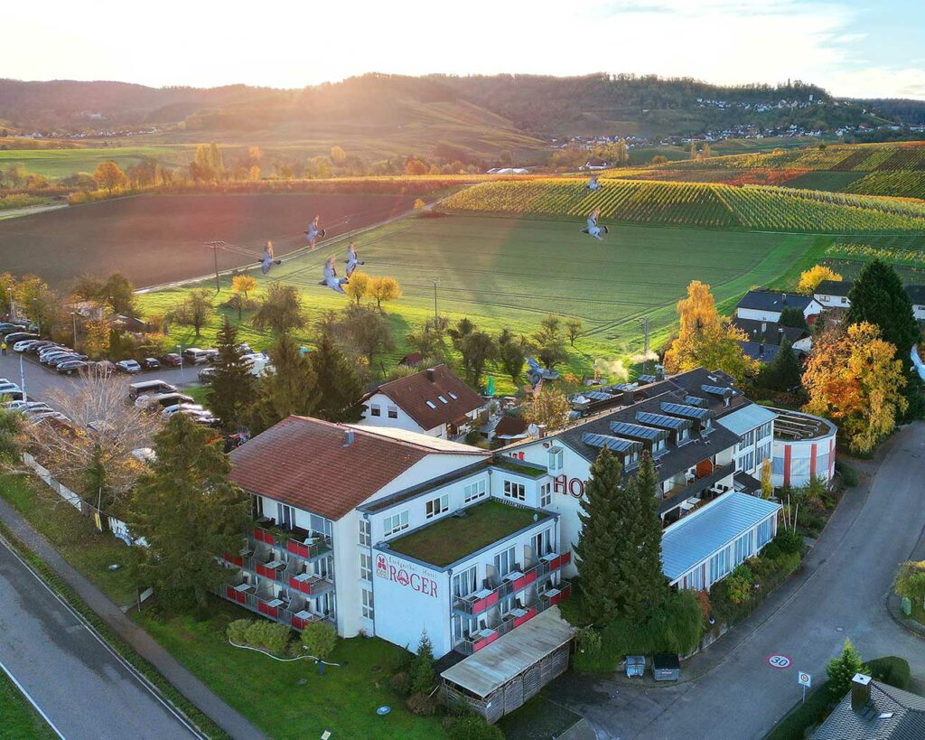 Luftaufnahme vom Flair Hotel Landgasthof Roger