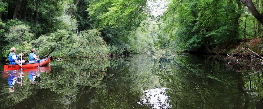 Kanufahrt auf der Havel