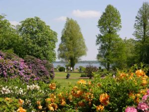 Kurpark in Bad Zwischenahn im Ammerland mit blühenden Rhododendren