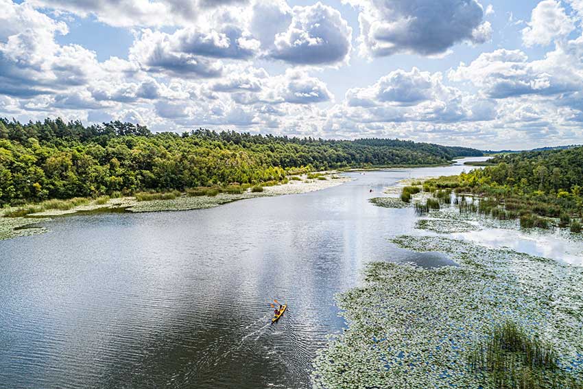 Sicht von oben auf ein Kanu im Seerosenparadies in der Mecklenburgischen Seenplatte