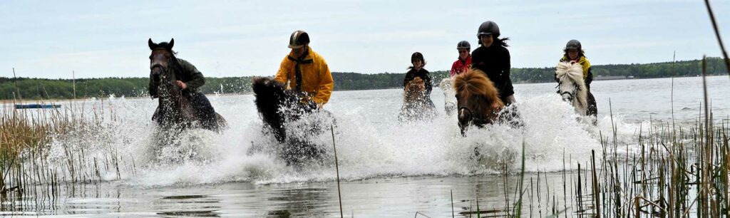 Foto von sechs Reitern, die mit ihren Pferden durch die Pferdeschwemme am Arendsee reiten und ihren Urlaub genießen