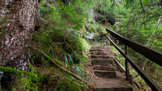 Foto von einer Steintreppe am Premiumwanderweg Teufelskanzelsteig