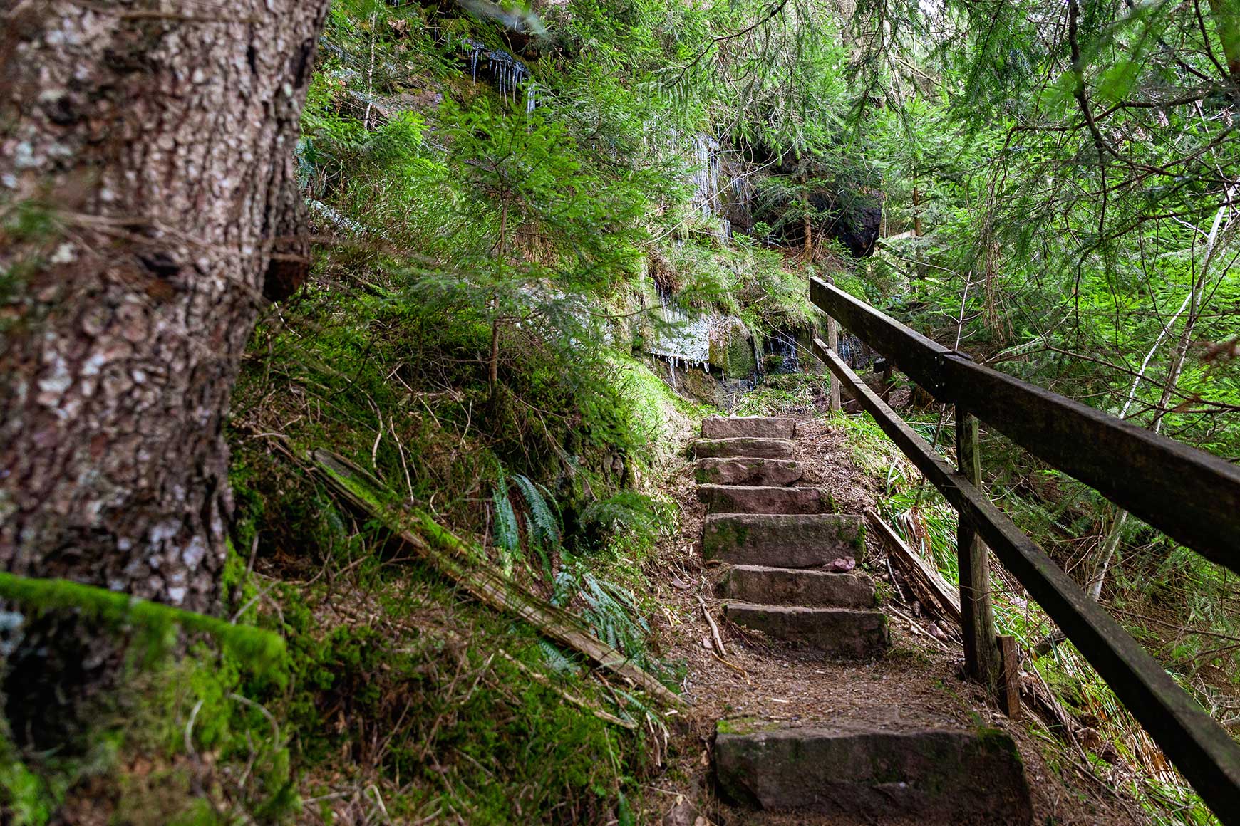 Foto von einer Steintreppe am Premiumwanderweg Teufelskanzelsteig