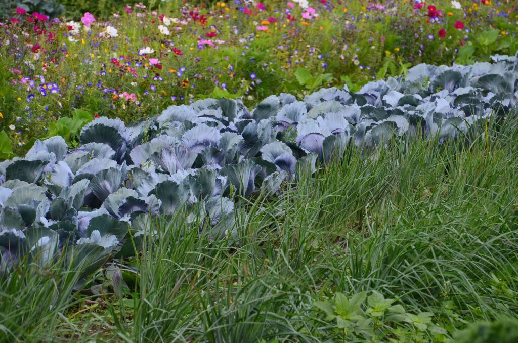 Foto vom Remtergarten auf der Landesgartenschau in Höxter