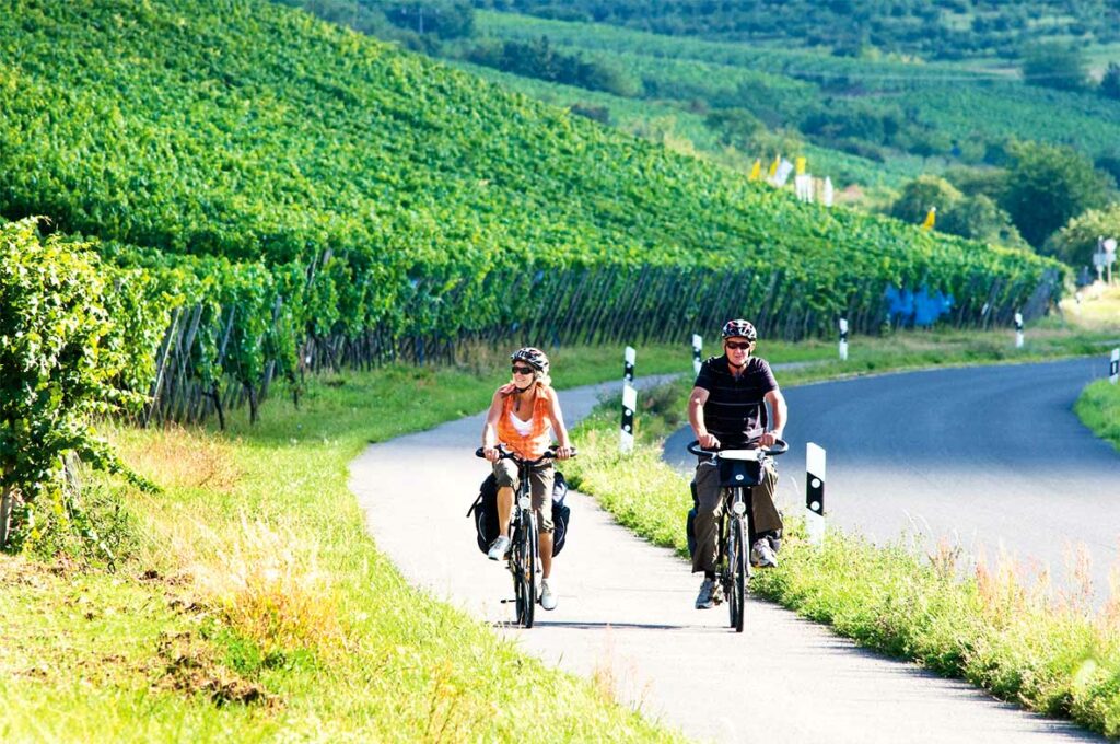 Radfahrer fahren auf dem MainRadweg entlang der Weinberge im Fränkischen Weinland