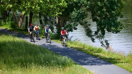 Foto von einer Gruppe Radfahrer, die auf dem Radweg Liebliches Taubertal fährt.