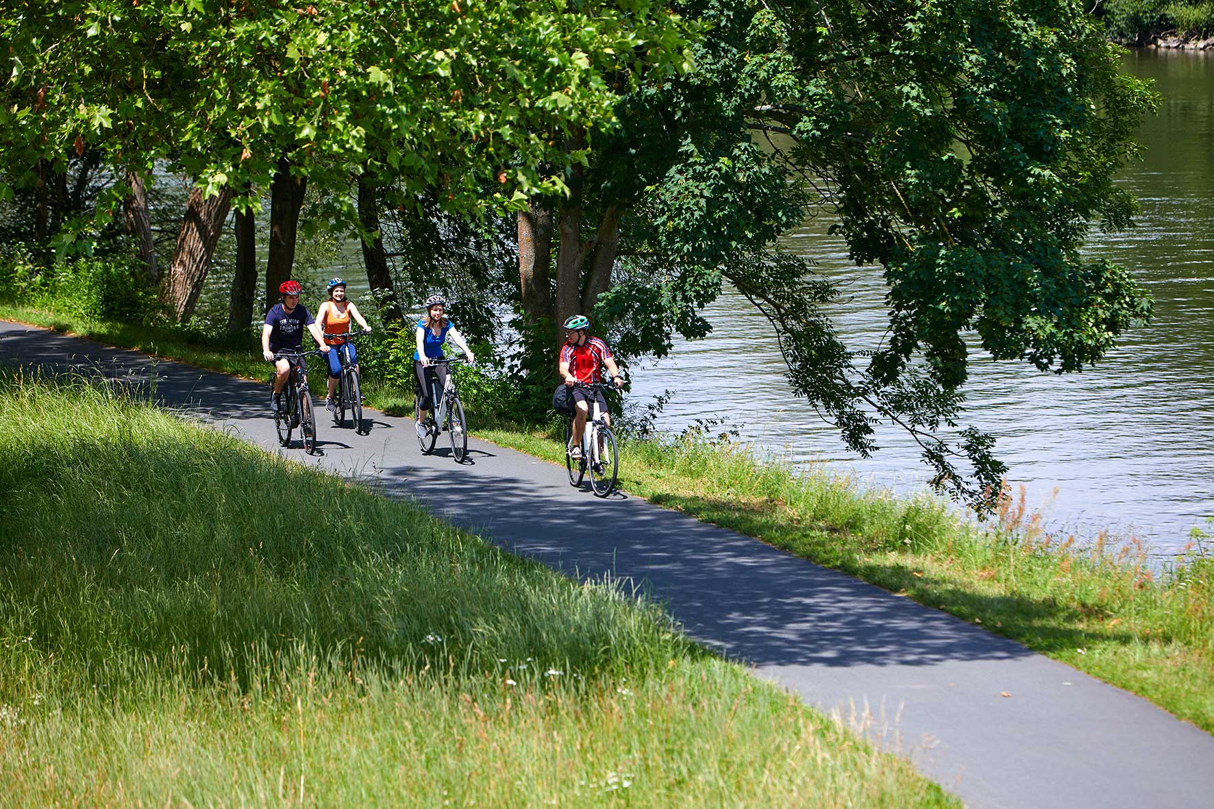 Foto von einer Gruppe Radfahrer, die auf dem Radweg Liebliches Taubertal fährt.