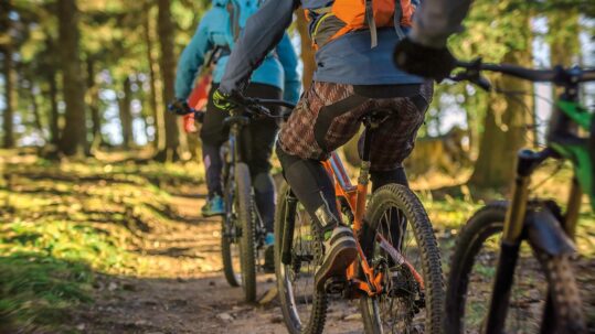 Foto von drei Mountainbikern, die durch den Wald fahren