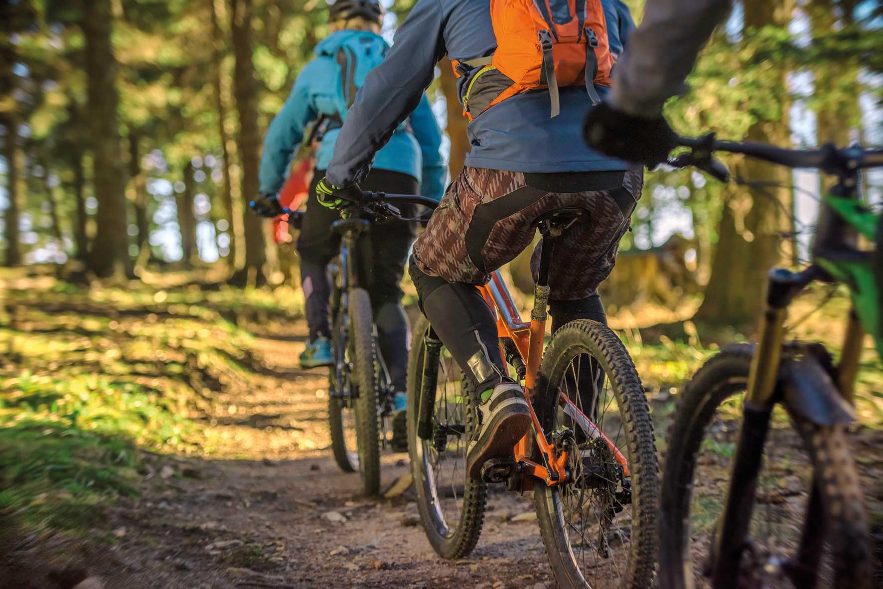 Foto von drei Mountainbikern, die durch den Wald fahren