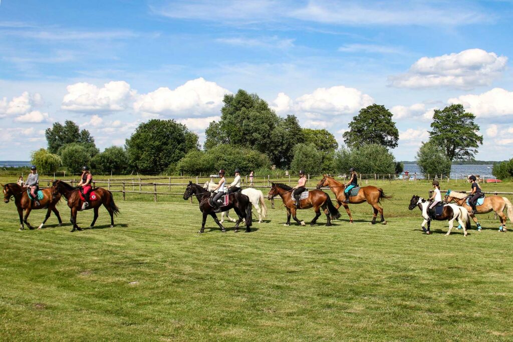 Foto von einer Gruppe Reiter, die im Urlaub mit ihrem Pferd Reitstunden im Flair Seehotel Zielow nehmen.