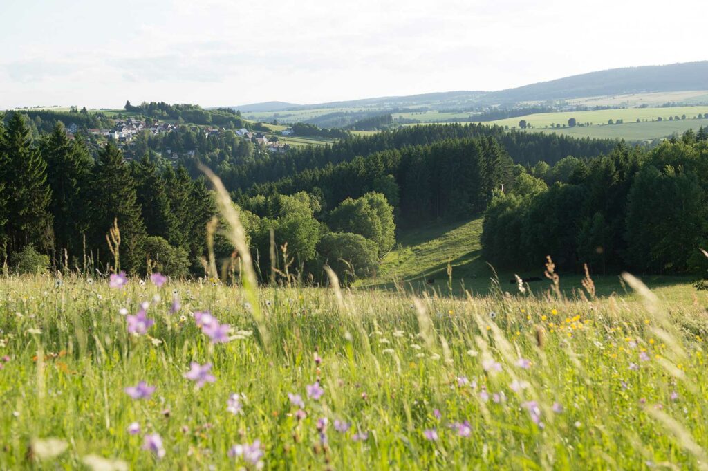 Foto von einer Landschaft südlich von Egelstorf mit Blick Richtung Schwarzatal