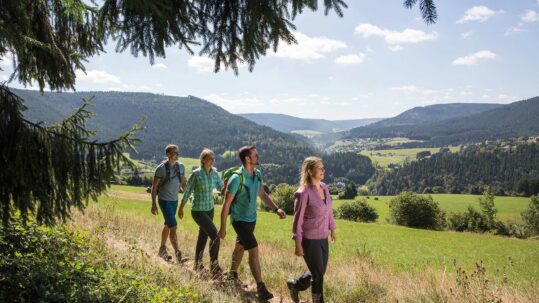 Vier Wanderer laufen auf dem Premiumwanderweg Genießerpfad Panoramasteig