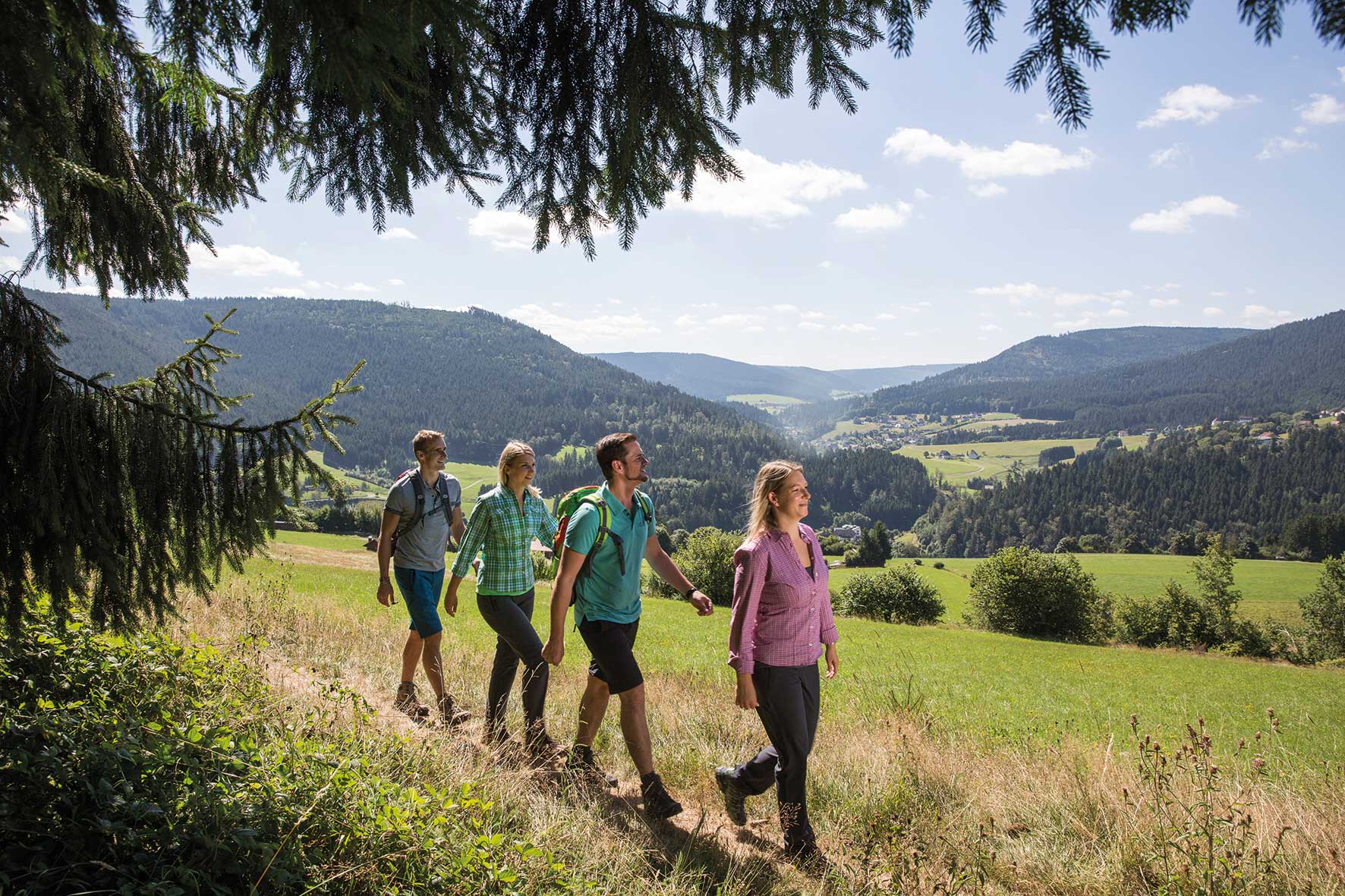Vier Wanderer laufen auf dem Premiumwanderweg Genießerpfad Panoramasteig