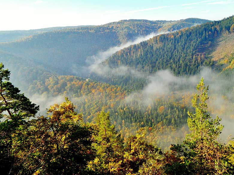 Blick von oben in das vernebelte Schwarzatal. Wandern im Schwarzatal ist ein Geheimtipp.